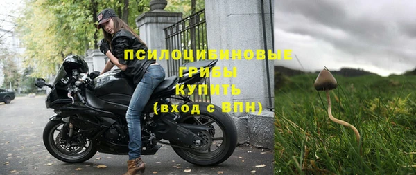 ECSTASY Алзамай