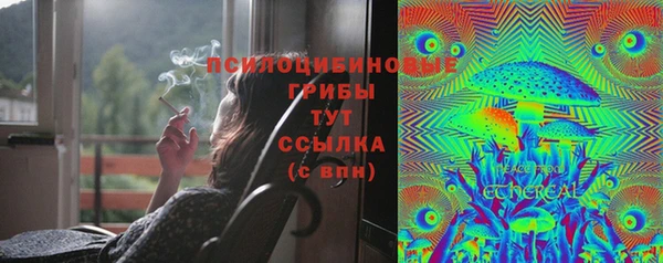 амф Алексин