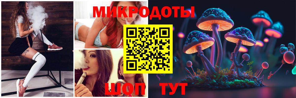 Тосно  Галлюциногенные грибы Psilocybe  Галлюциногенные грибы Psilocybe  Вход с VPN 
