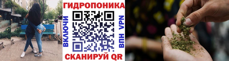 Шишки марихуана Ganja  купить наркотик  Тосно 
